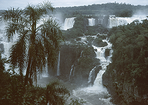 LEICA M6, SUMMICRON 2/50